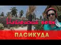 Цейлонский вояж 4 серия - Пасикуда