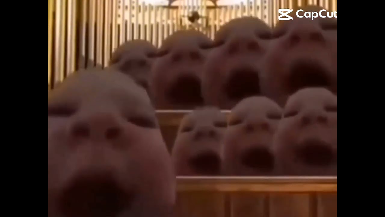 Dont watch this video fr