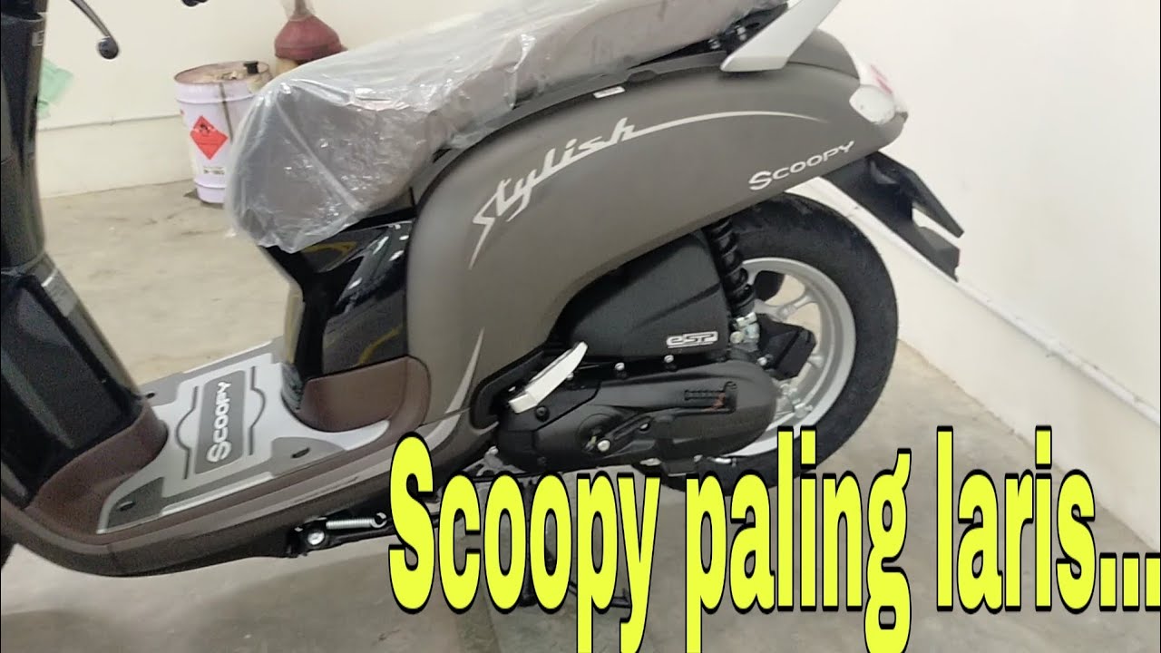  Scoopy  stylish matte brown sporty red  sporty black 
