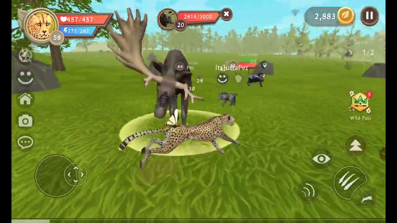 Touring wildcraft map part.1