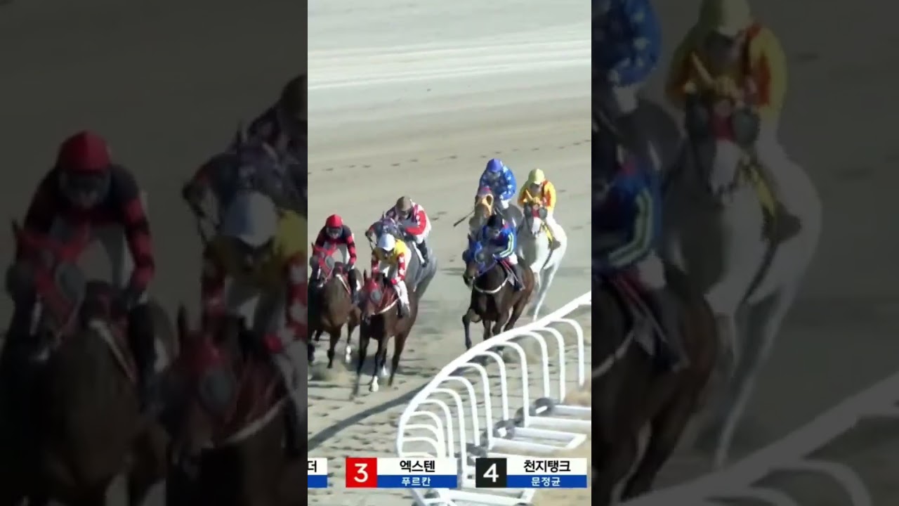 7,5배 저배당적중