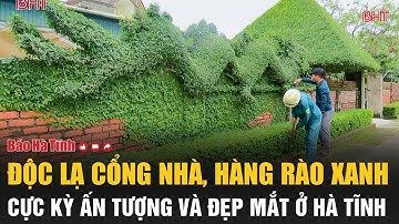 Độc lạ cổng nhà, hàng rào xanh cực kỳ ấn tượng và đẹp mắt ở Hà Tĩnh
