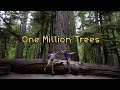 Environmental Awareness and YouTube Initiatives