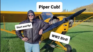 Famous Piper Cub Story, Startup, and Fly! Ex WW2 training plane! Wealth