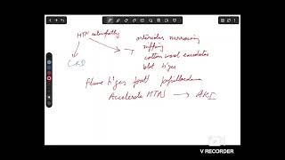 Renal exam 4 physical Renal exam 4 physical