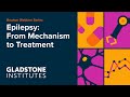 Epilepsy: From Mechanism to Treatment