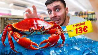 J'adopte un CRABE de compagnie !
