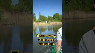 Продается огромное фермерское хозяйство#фермер #ферма #фермерскоехозяйство #обзорнедвижимости