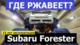 Отзыв владельца Subaru Forester 15 лет эксплуатации Где ржавеет? Какие проблемы?