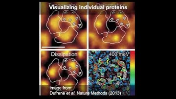 TechThursday XXII: AFM - Atomic force microscopy