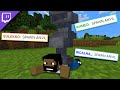 MINECRAFT CON LA CHAT CHE SCATENA IL CHAOS
