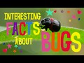 Interesting Facts About Bugs Quiz
