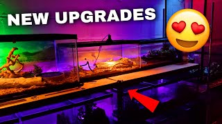 Upgrading My Animal Room! (Substrate, Water Dishes, & MORE)