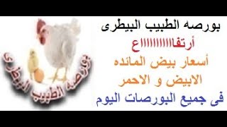 أسعار البيض اليوم الاحد 5/ 9/ 2021 ( بورصه الطبيب البيطرى )