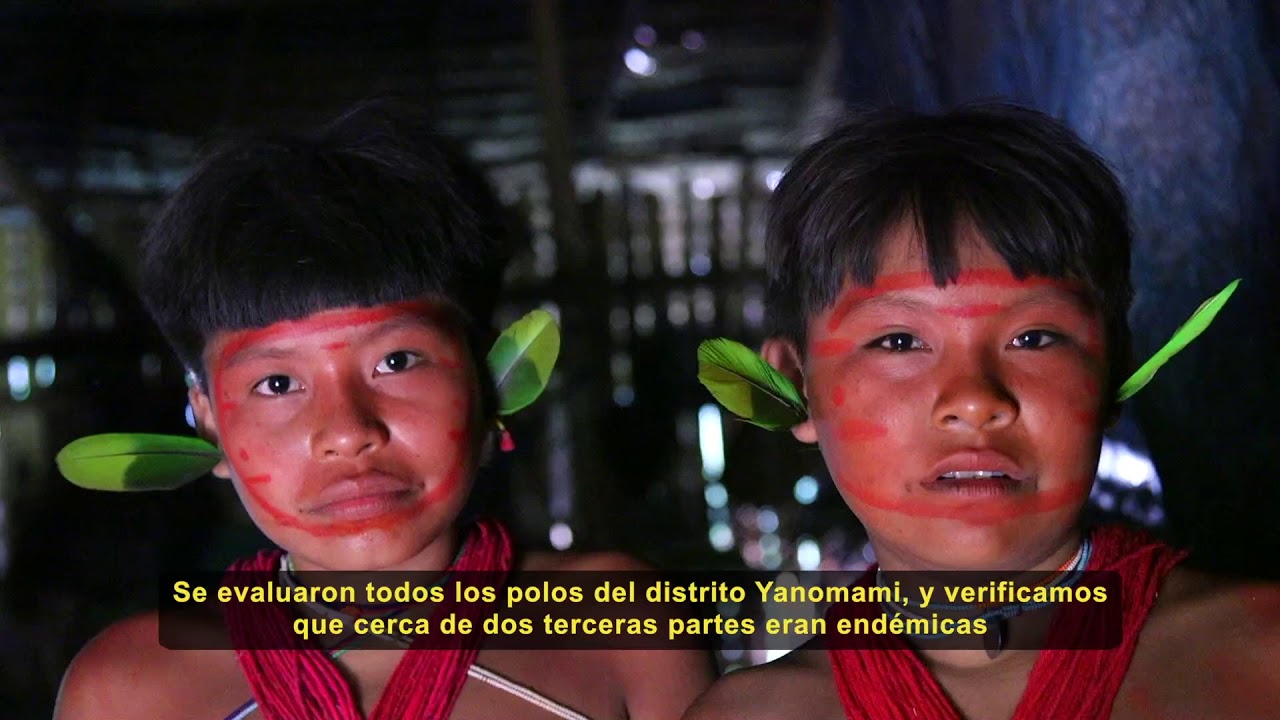 health insurance Versión corta - El último foco: Eliminación de la Oncocercosis en los pueblos Yanomami y Ye'Kuana