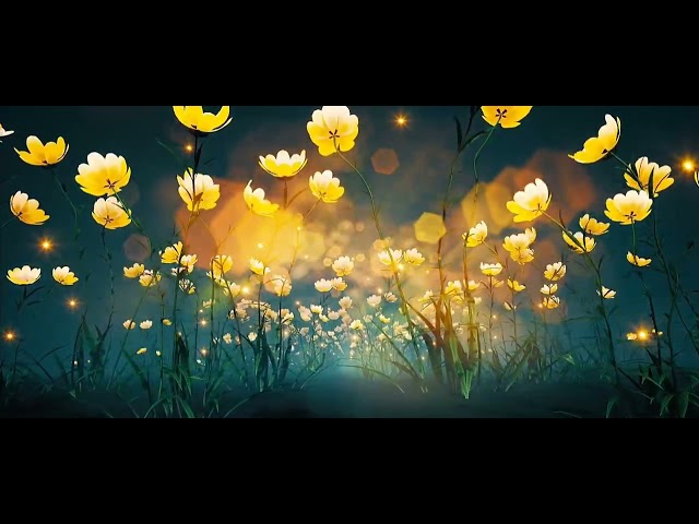 Walking in the fantasy yellow flowers magic garden loop video Background class=