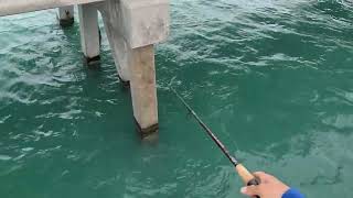 Florida Keys Bridge hopping 3 by 305 Florida Boy 474 views 4 months ago 20 minutes
