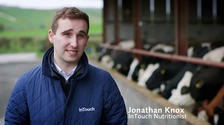 InTouch - John Killen 2018