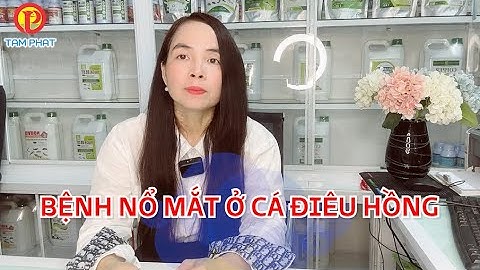 QUY TRÌNH PHÒNG VÀ XỬ LÝ BỆNH XUẤT HUYẾT LỒI MẮT TRÊN CÁ ĐIÊU HỒNG