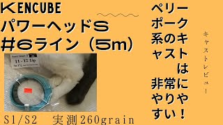 KencubeパワーヘッドS #6ライン（5m）17g S1/S2 実測260grain の