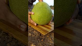 giant orange | special pomelo pickles 😋 ජම්බෝල #chakotra #giant  #pomelo