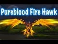 Pureblood fire hawk mount guide world of warcraft  drops