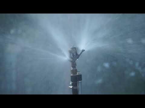 Сплинкер - YouTube