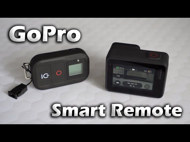 その他 GoPro The Remote GoPro The Remote(ザ リモート)の基本の使い方を簡単ステップで