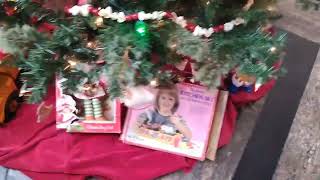 Kelseys Video Blogs-Festival of Trees at the Berkshire Museum