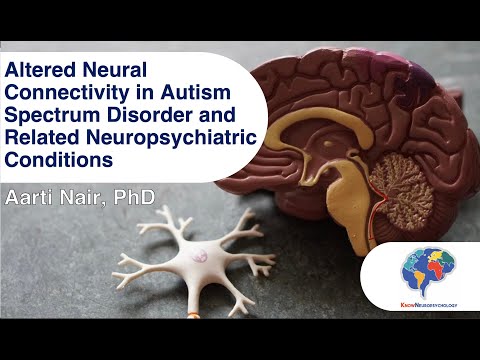 Altered Neural Connectivity in Autism Spectrum Disorder and Related Neuropsychiatric Conditions