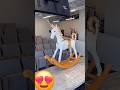 Choco horse #ytshorts #shorts #short #viral #trending #youtube #love #chocolate #challenge #cake #yt
