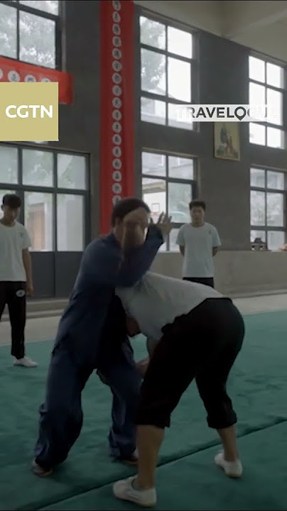 Kung fu enthusiast travels to birthplace of Tai Ji Quan