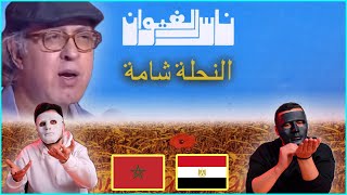 ناس الغيوان - نحلة شامة  / Egyptian Reaction 🇲🇦 🇪🇬