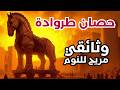 ماذا حدث حقا في حرب طروادة الحقيقة الكاملة بين الأسطورة وعلم الآثار 