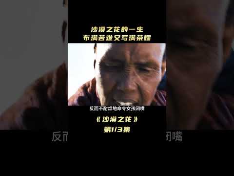 沙漠之花的一生 佈滿苦難又寫滿榮耀【爆辣】 #电影解说 #老电影