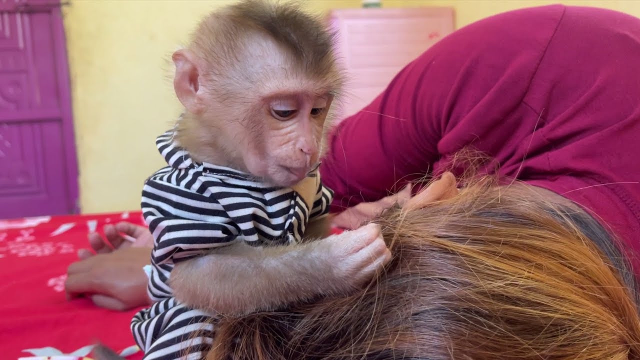 Cutest Talented Baby Jessa Grooming Hair Mom To Sleep