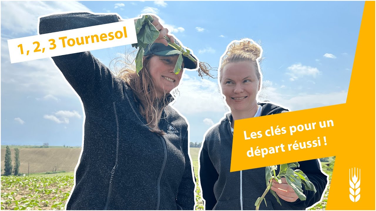 1, 2, 3 Tournesol avec Julie et Flore : les clés pour un départ réussi !