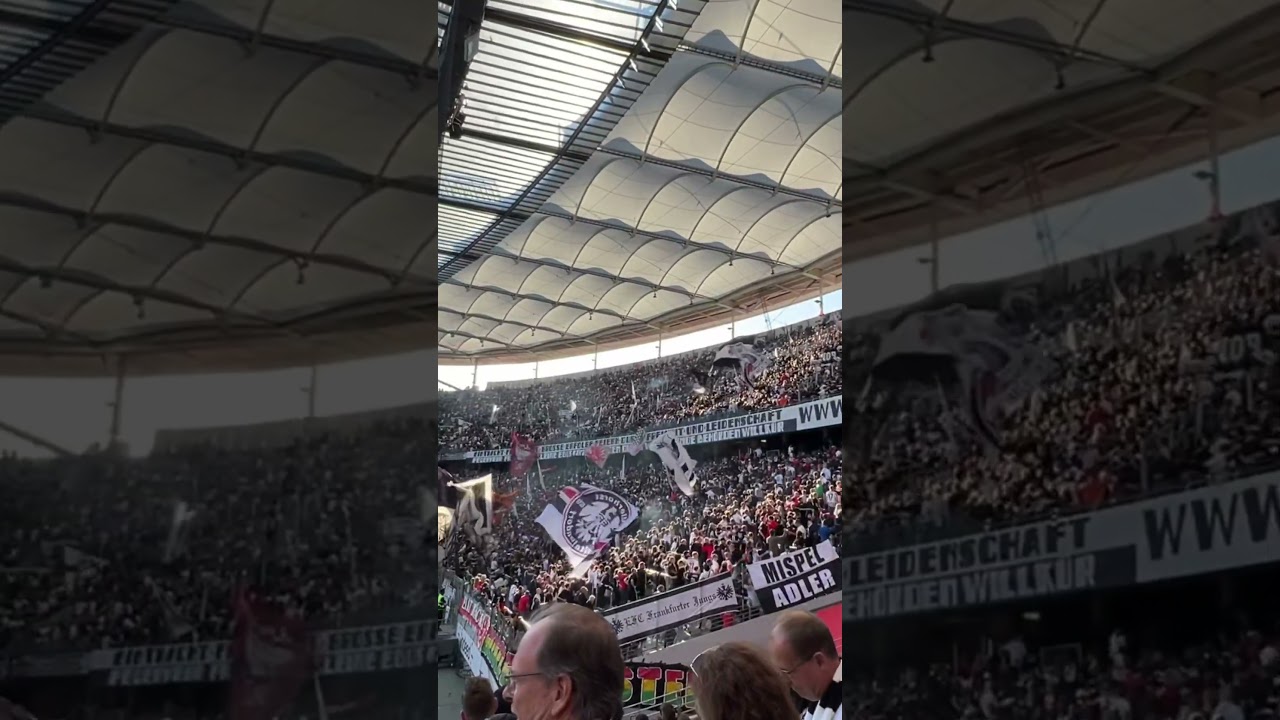 Crazy Fans hat die SGE 👍🏼🔥 
