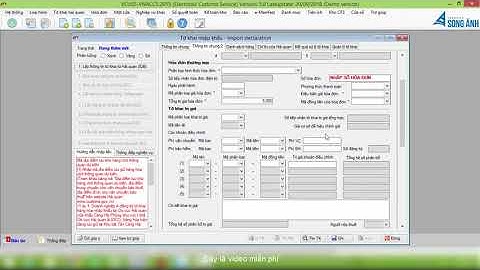 Khai Báo Hải Quan Điện Tử Hàng Gia Công Nguyên Container Với Ecus