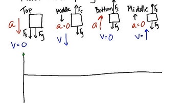 Simple Harmonic Motion Graphs