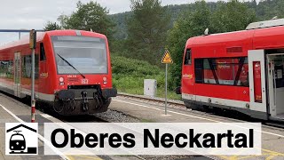 Obere Neckartalbahn zwischen Tübingen und Horb inkl. Zugbegegnung im idyllischen Eyach.