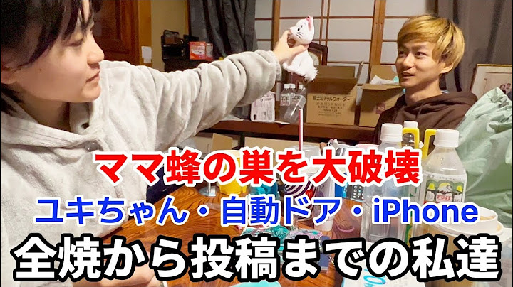 【全焼から投稿までの日々】ママ蜂の巣を破壊する#火災 #家族 #福島県