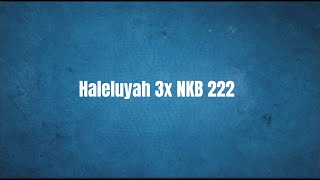 Haleluyah 3x NKB 222