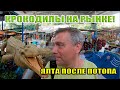 Крокодилы на ялтинском рынке! Сбежавшие крокодилы во время потопа обнаружены на овощном рынке!