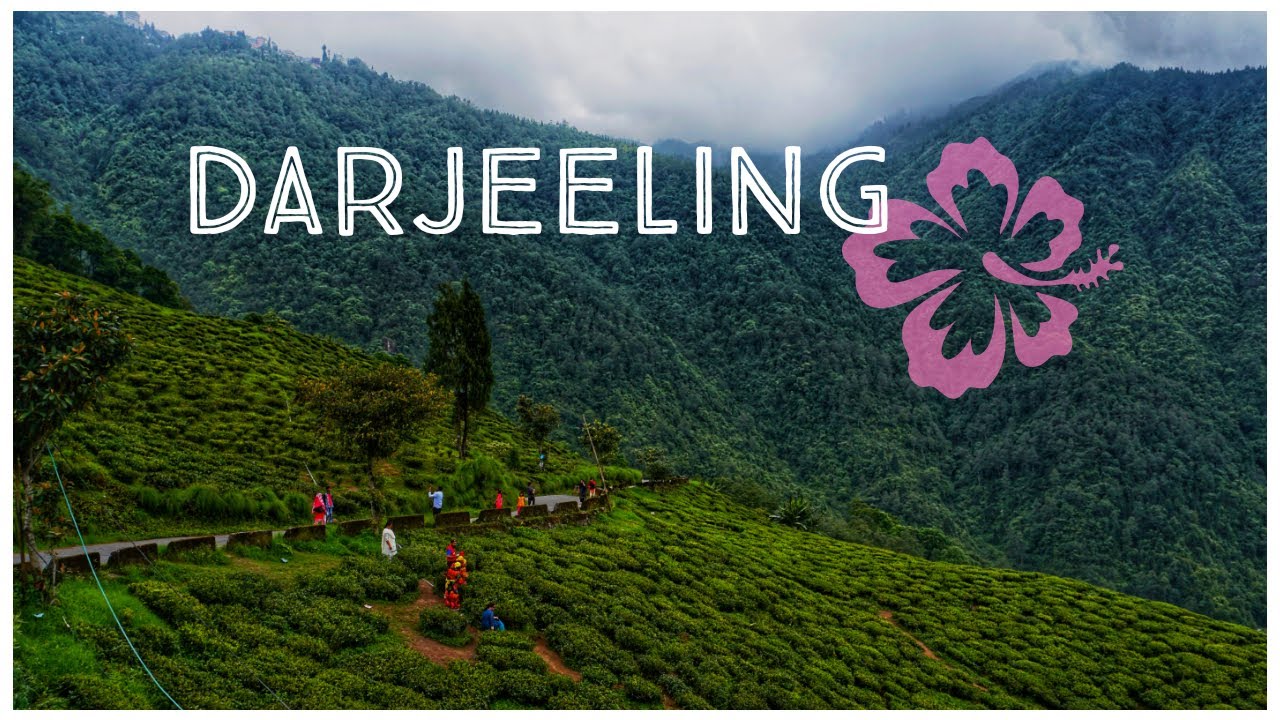 darjeeling tour vlog