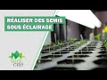 Quel clairage pour faire ses semis  vertcit