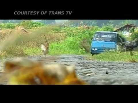 JIka Aku Menjadi Charlie ST 12 Cirebon part 1 0f 5