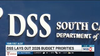 DSS seeks funding for SC childcare, foster care improvements