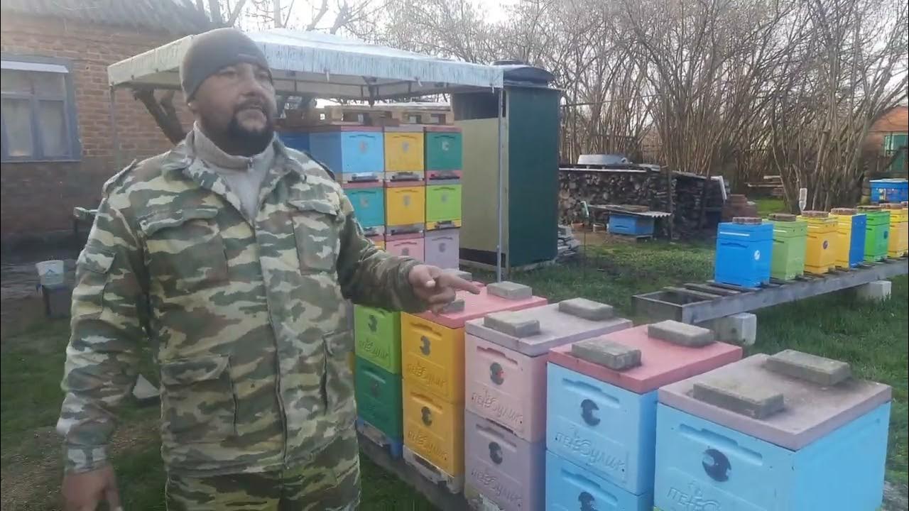 Пчеловод рябухин последнее. Пчеловоды марченко. Пасека братьев марченко. Пчеловоды братья марченко видео. Пчеловоды братья марченко видео.