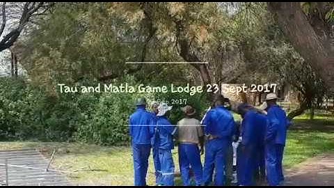 Bamboo X-treme decking installation in South Africa Game lodge